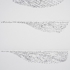 Grey_2127