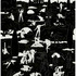 20110901161738-cleon_peterson