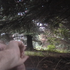 20110901214942-_communal_forest_apology__-_video_still_from__project_apology__-_2007_and_ongoing_-_camera_katie_osediacz