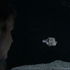 20110901215236-_cuttle_fish__-_video_still_from__project_apology__-_2007_and_ongoing_-_camera_katie_osediacz