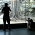 20110901215451-_gorilla_enclosure_no