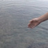 20110901220058-_catfish_feeding__-_video_still_from__project_apology__-_2007_and_ongoing_-_camera_katie_osediacz