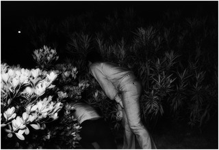 The Park ,Kohei Yoshiyuki