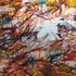 20110903101721-daviscaldwell_flux_300dpi