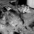 20121214140713-chernobyl_of_love_mka_2