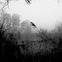 20121214141214-chernobyl_of_love_mka_5
