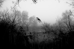 20121214141214-chernobyl_of_love_mka_5