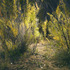 20110904022715-burr_trail__4_2010