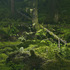 20110904022902-olympic_peninsula__3_2010