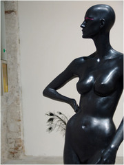 ,Luca Francesconi