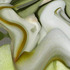 20110904115310-debra_kayata_orchid_baby_outburst