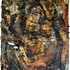 20110904161958-kaviguptagallery001805