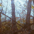20110904203333-donald-moffett_gold-landscape-2_main