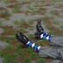 20110905112133-gray_shoes-1