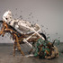 20110905124202-johnston_foster_skeleton-and-horse