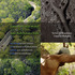 20110905181711-artist_in_residence_v3