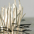 20110906085005-soloimage_low