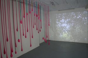 Forest_installation