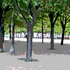 20110906222258-trees_in_park-paris-v2