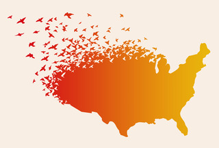 Land of the Free,Graphonic