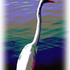20120824015449-oil_pb300_3
