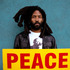 20110907153752-murs_peacephotoproject