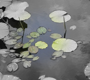 20110907160327-water_impressions_i