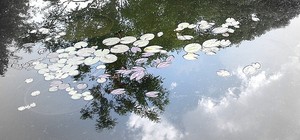 20110907160433-water_impressions_ii