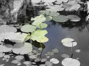 20110907161822-pict0126