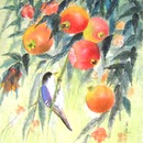 20110908015027-riping_season