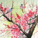20110908020409-spring_is_coming