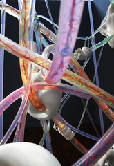 Visceralab,Alison Petty Ragguette