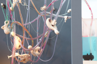 Visceralab,Alison Petty Ragguette