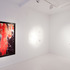 20110908082057-sbsg-fertility-04