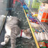 20110908084947-cat_in_window_i
