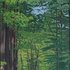 20110909073636-shady_lane__vt