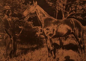 20110909201433-his_horse
