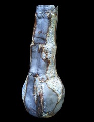 No. 172,Caroline Blackburn
