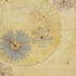 20110909203656-blue_daisy_star_map-karensikie