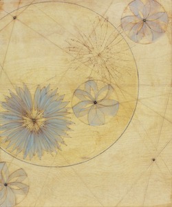 20110909203656-blue_daisy_star_map-karensikie
