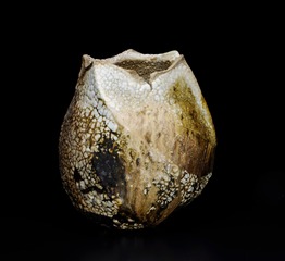 Mentori Vase,Peter Callas