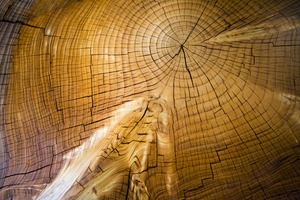 20110909212556-william_stranger_trunk_stool