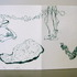 20110910151416-img_0440