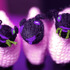 20110910215316-3_little_lambs_in_purple