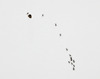 20110911194716-pierre_huyghe_esther_schipper_2011___andrea_rossetti