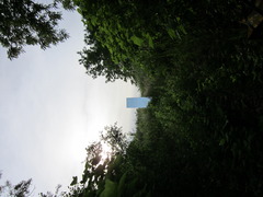 20110911235043-img_0055