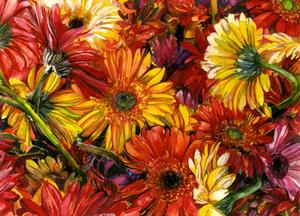 20110912053157-gerberas001
