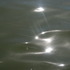 20110912064015-july-august2011-heli__210light_rays_on_sea