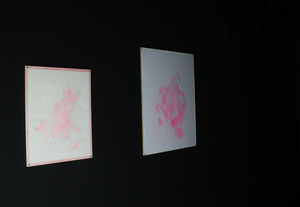 20110912132239-10_sexroomleftwall