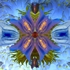 Divers_dream_55_copy